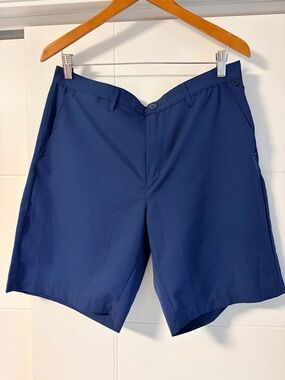 Quiksilver Men's Navy Blue amphibian Flat Front Shorts